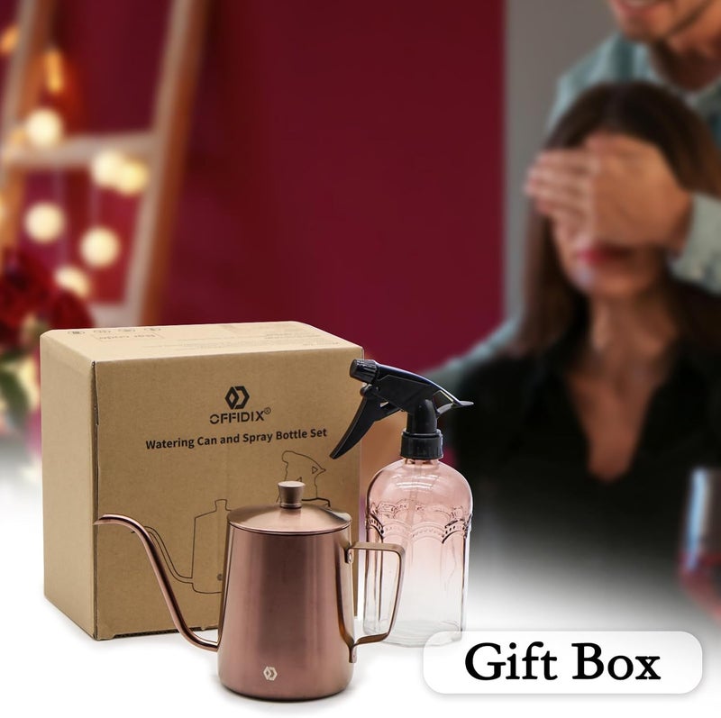 OFFIDIX Watering Can for Indoor Plants Long Spout Metal Stainless Steel 21 oz/600 ml Small Watering Can with 14 oz/400ml Glass Plant Mister Spray Bottle for Plants Bonsai - Image 5